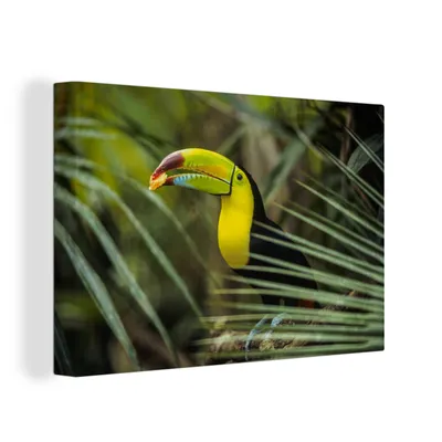 Produktbild von OneMillionCanvasses® - Leinwandbilder - 150x100 cm, Nahaufnahme eines fütternden Tukans, Wandbilder Kunstdruck Wanddekoration
