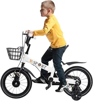 Imagen del producto de Bicicleta infantil de 12/14/16 pulgadas con ruedines, bicicleta para niños y niñas de 2 a 7 años, asiento y reposabrazos ajustables, sistema de frenado doble y cesta