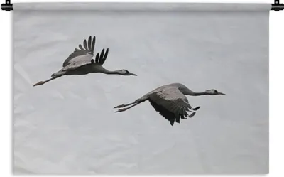 Produktbild von MuchoWow® Wandteppich Wandbehang Europäische Kraniche fliegen gemeinsam durch die Luft 90x60 cm Tapisserie Dekoration Wandtuch - Wandskulpturen - Bildteppich