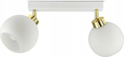A white ceiling light fixture with two adjustable globe-shaped lamps.