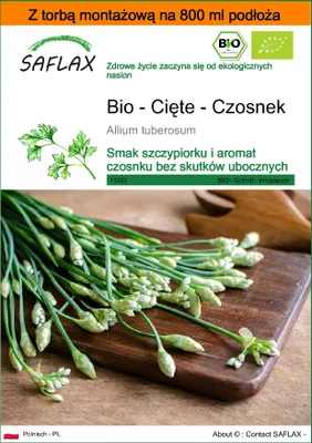 Zdjęcie produktu dla SAFLAX - Garden in the bag - Bio - Cięte - Czosnek - 100 Nasiona - Z podłożem uprawowym w praktycznej, samorozkładającej się torbie - Allium tuberosum