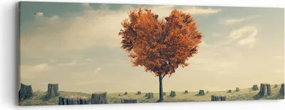 Produktbild von Bild auf Leinwand - Leinwandbild - Baum Natur Wiese - 90x30cm - Wand Bild - Wanddeko - Wandbilder - Leinwanddruck - Bilder - Kunstdruck - Wanddekoration - Leinwand bilder - Wandkunst - AB90x30-3751