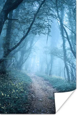 Produktbild von MuchoWow® Poster Bäume - Natur - Nebel 40x60 cm - Plakate für die Wand - Poster Babyzimmer