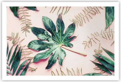 Produktbild von Poster - Poster ohne Rahmen - Blatt Tropisch Palme - 91,5x61 cm - Wand Bild - Wanddeko - Wandbilder - Kunstposter - Wandposter - Bilder - Kunstdruck - Wanddekoration - Wandbild - P2XAA91x61-4314