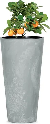Image de Pot TUBUS Slim Beton avec insert, 250x475 mm, aspect beton