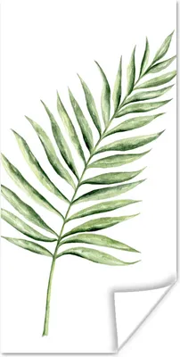 Produktbild von MuchoWow® Poster Pflanze - Aquarell 20x40 cm - Plakat - Foto