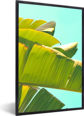 Produktbild von MuchoWow® Gerahmtes Poster Bananenblatt - Blätter - Tropisch - Sommer 60x90 cm - Poster mit Schwarzem Bilderrahmen Wandposter Rahmen Foto Bilder - Kunst