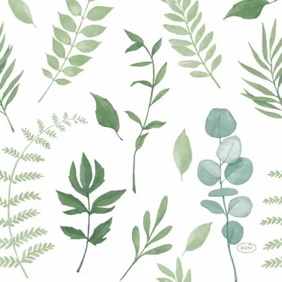 Produktbild von 240 Duni Tissue-Servietten 33 x 33 cm Greenery 3-lagig
