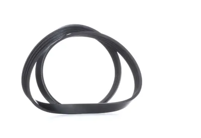 Produktbild von FEBI BILSTEIN Keilrippenriemen 900mm für BMW 3 Limousine (E46) 28789