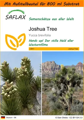 Produktbild von SAFLAX - Garden in the Bag - Joshua Tree - 10 Samen - Mit Anzuchtsubstrat im praktischen, selbst aufstellenden Beutel - Yucca brevifolia