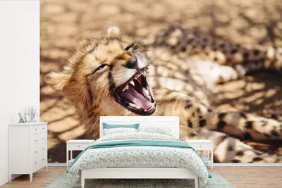Produktbild von MuchoWow® Fototapete für Wohnzimmer oder Schlafzimmer Wandtapete Vinyl Motivtapete Gepard - Tier - Nahaufnahme - 330x220 cm - Fototapeten