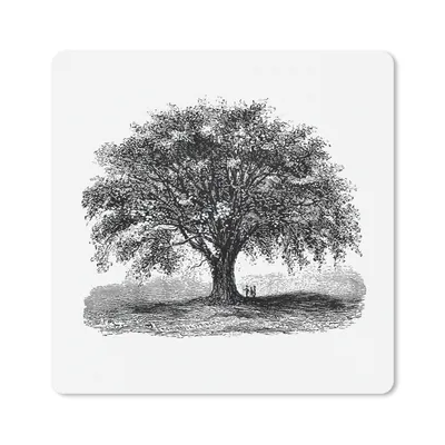 Produktbild von MuchoWow® Mauspad Mousepad Jahrgang - Baum - Natur 20x20 cm - Mousepads - Maus Mat - Pad - Mausunterlage - Desk Mat - Bureauartikeln