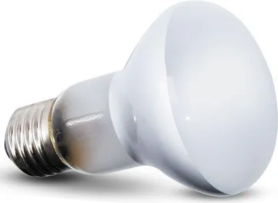Immagine prodotto di Repti-Zoo Beam Spot 35W - Lampadina riscaldante spot Repti-Zoo