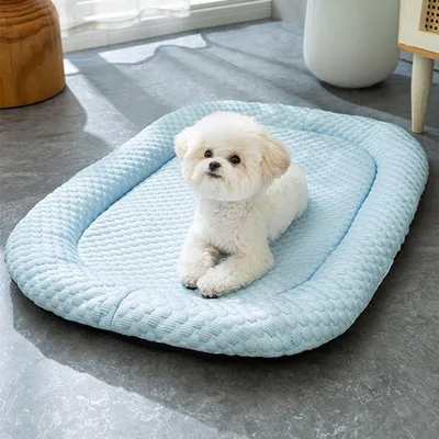 Image de Solidchoice - Tapis rafraîchissant pour chiens et chats, tapis auto-refroidissant, bleu, grande taille