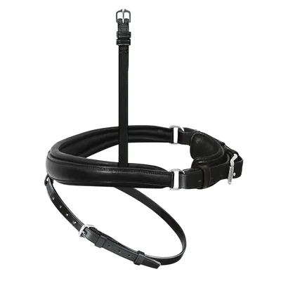 Produktbild von Passier Anatomischer Wechselnasenriemen Reithalfter Spezial mit Sperrriemen