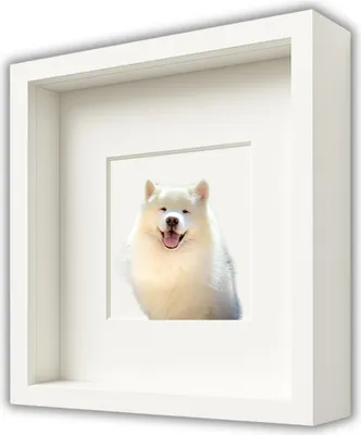 Obrázok produktu pre Hlboký 3D rám 30x30 cm na fotografie z machového remesla, farba biela