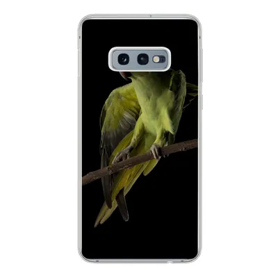 Produktbild von MuchoWow® Handyhülle Schutzhülle Hülle für Samsung Galaxy S10e Papagei - Vogel - Zweig Silikon Softcase Handy Hülle
