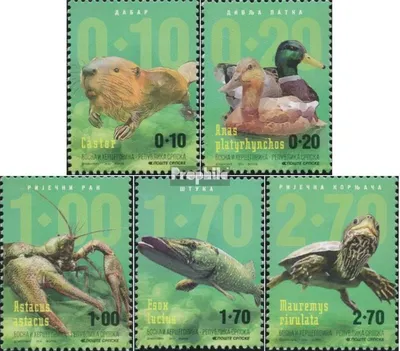 Produktbild von Briefmarken Bosnien - Serbische Republ. 2016 Mi 692-696 (kompl.Ausg.) postfrisch Süßwasserfauna