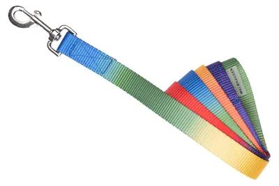 Produktbild von Waldhausen Führstrick Regenbogen