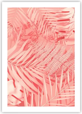 Produktbild von Poster - Poster ohne Rahmen - Rosa Blätter Palmen - 50x70 cm - Wand Bild - Wanddeko - Wandbilder - Kunstposter - Wandposter - Bilder - Kunstdruck - Wanddekoration - Wandbild - P2XPA50x70-4745