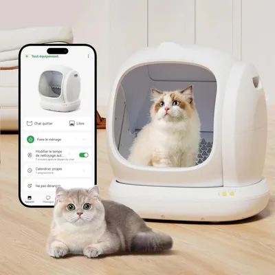 Image de Litière automatique pour chats - Litière autonettoyante - Grande litière pour chats