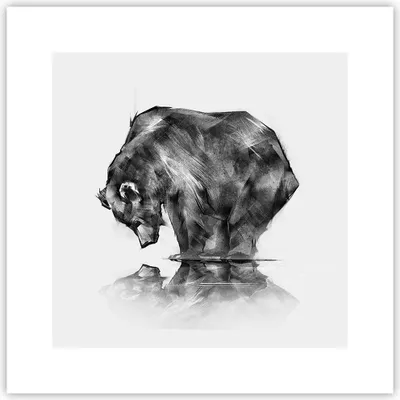 Produktbild von Poster - Poster ohne Rahmen - Bär Tier - 30x30 cm - Wand Bild - Wanddeko - Wandbilder - Kunstposter - Wandposter - Bilder - Kunstdruck - Wanddekoration - Wandbild - P2XAC30x30-3921