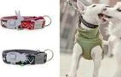 Produktbild von Hurtta Razzle-Dazzle Halsband in