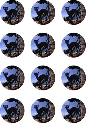 Produktbild von Muffinaufleger Cupcakes Muffins Halloween Zuckerpapier schwarze Katze HW06