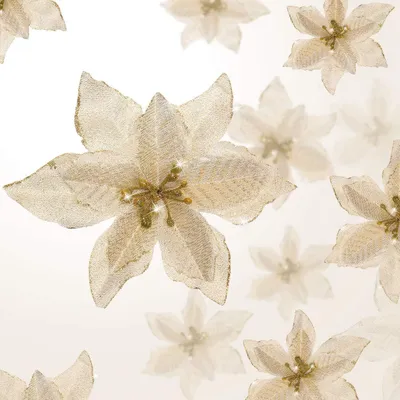 A collection of artificial poinsettia flowers with glitter accents on a gradient background.