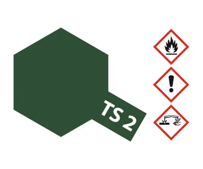 Image de TS-2 Vert foncé mat 100ml 300085002