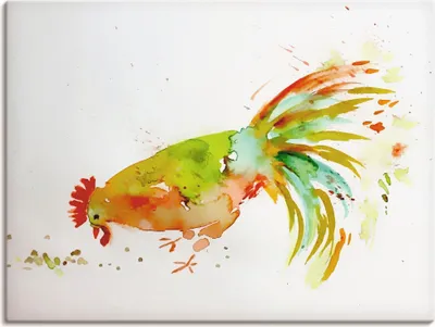 Produktbild von ARTland Leinwandbild Hahn Größe: 60x45 cm