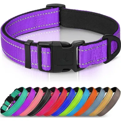 Obrázek produktu pro Obojek pro psy, polstrovaný, neopren, nylon, nastavitelný, reflexní, fialový