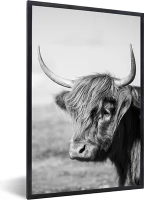 Produktbild von MuchoWow® Gerahmtes Poster Schottischer Highlander - Tiere - Schwarz - Weiß 60x90 cm - Poster mit Schwarzem Bilderrahmen Wandposter Rahmen Foto Bilder - Kunst