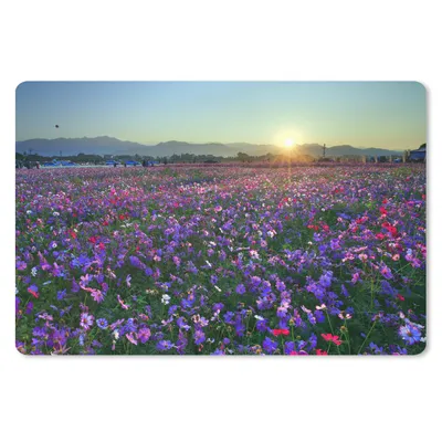 Produktbild von MuchoWow® Schreibtischunterlage Blumen - Lila - Sonnenuntergang 60x40 cm - XXL Mauspad - Großes Mauspad