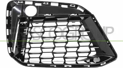 Produktbild von PRASCO Lüftungsgitter Grill Stoßfänger für BMW 5 Touring (G31) Schwarz