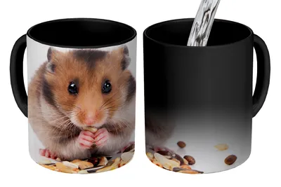 Obrázok produktu pre MuchoWow® Magický pohár škrečok žerie semienka 350 ml Pohár na zmenu farby Darček Nápad na darček - Foto hrnček
