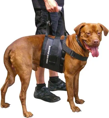 Produktbild von Famanu Hundegehilfe für große Hunde - Verstellbare Befestigungen
