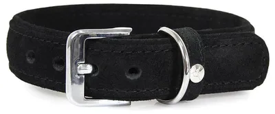 Produktbild von Das Lederband Hundehalsband Toronto schwarz/schwarz, Länge: 30 cm / Breite: 12 mm