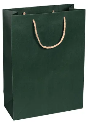 Image de Sacs en papier verts, 27 x 37 x 12 cm, avec cordon en coton - lot de 12