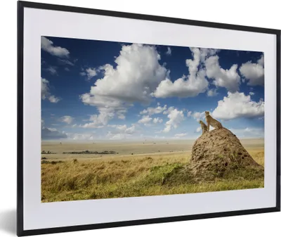 Produktbild von MuchoWow® MuchoWow® Gerahmtes Poster Geparden - Steine - Gras 60x40 cm - Poster mit zchwarzem Bilderrahmen - Schlafzimmer - Plakat in Rahmen - Drucken