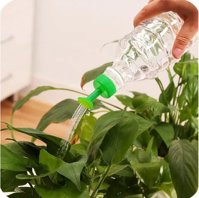 Produktbild von CHPN - Gießkanne - Flaschengießkanne - Gießkannenverschluss - Pflanzenflasche - Gießkannenflasche - Sprühkopf - Grün - Pflanzensprüher -