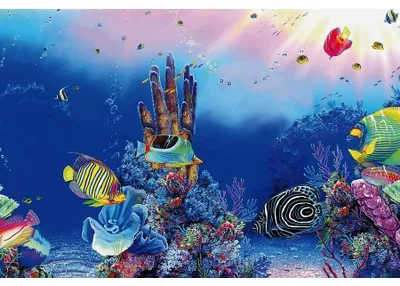 Productafbeelding van SuperFish Deco Poster F 150x61CM
