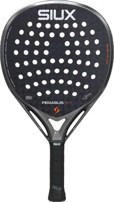 Produktbild von Siux Pegasus Pro 2026 Padelschläger Silber Silber One Size