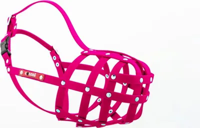 Produktbild von Colori Muzzleking Dackel 2 – Maulkorb - pink