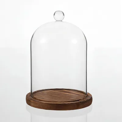 Immagine prodotto di Campana di vetro con base in legno, ideale per esposizioni decorative