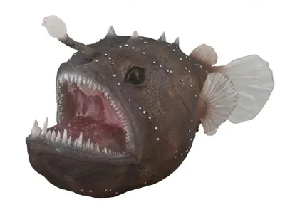 Obrázek produktu pro Collecta 88967 Mořský ďas 12 cm Vodní živočichové