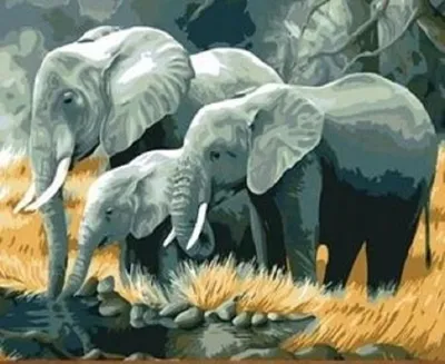 Produktbild von Malen nach Zahlen: Elefantenfamilie am Fluss, 50x40 cm