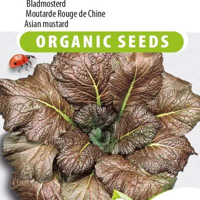 Image de Graines de monstre à feuilles rouges géantes – Des feuilles rouges uniques pour une récolte nutritive et savoureuse