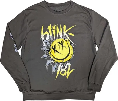 Obrázek produktu pro Blink 182 - Mikina pro muže/dámy uni RO9435 (S) (Anthracite)