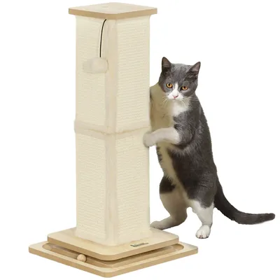 A cat is standing next to a cat scratching post.